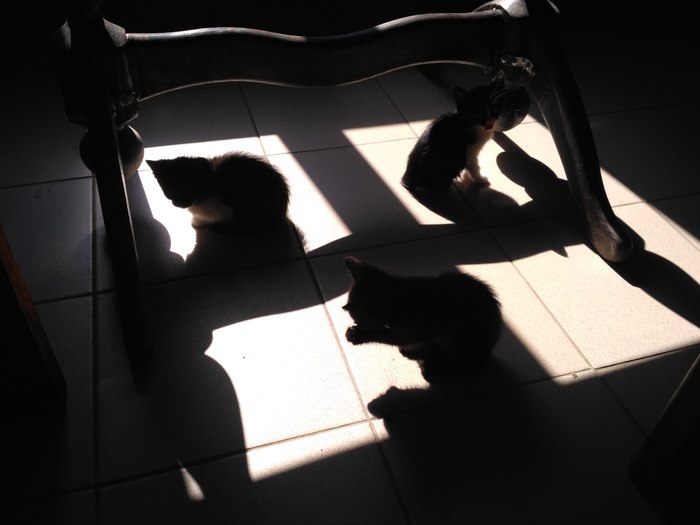 ��������� �������