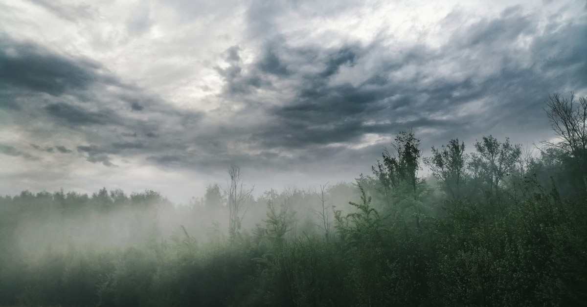 Туман с утра в городе мурино. Заволокло туманом. Смог в новосибирске. Туман в степи. Заволокло туманом.
