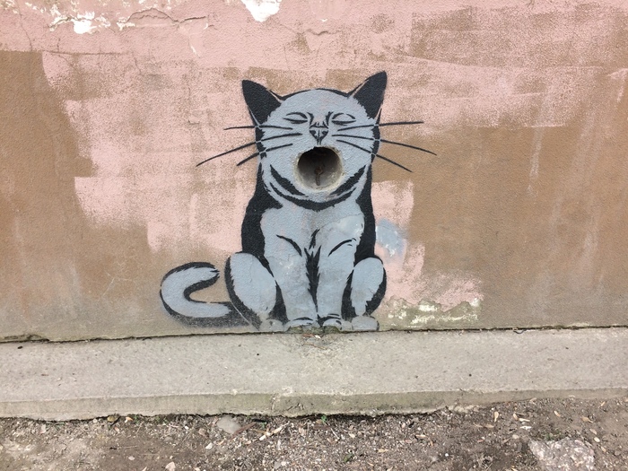 3D graffiti (almost) - Graffiti, cat, The photo, Simferopol, Yawn