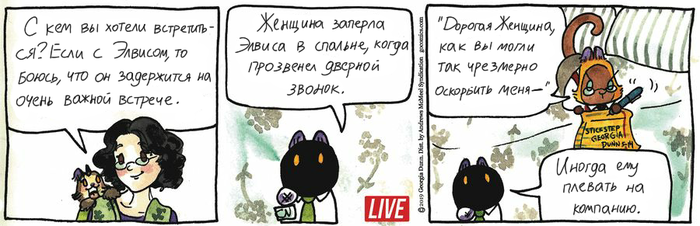 Котейкины Новости от 14.05.2019