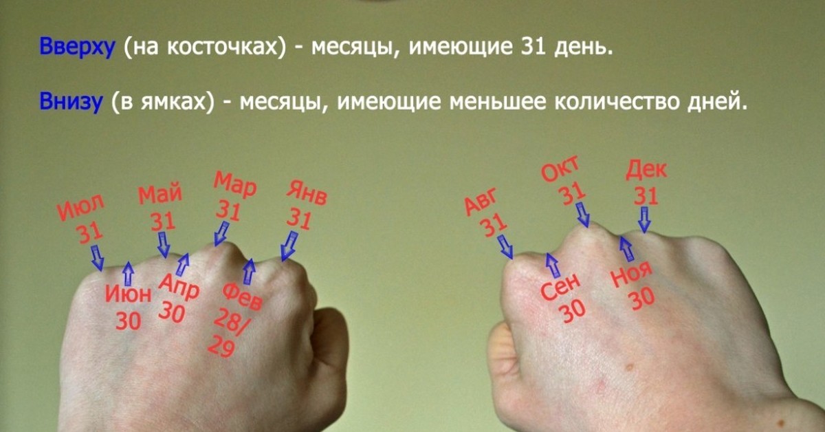 Почему днем месяца. Как посчитать на косточках месяца. Сколько дней в месяце по костяшкам. Дни в месяцах. Сколько дней в месяцах.