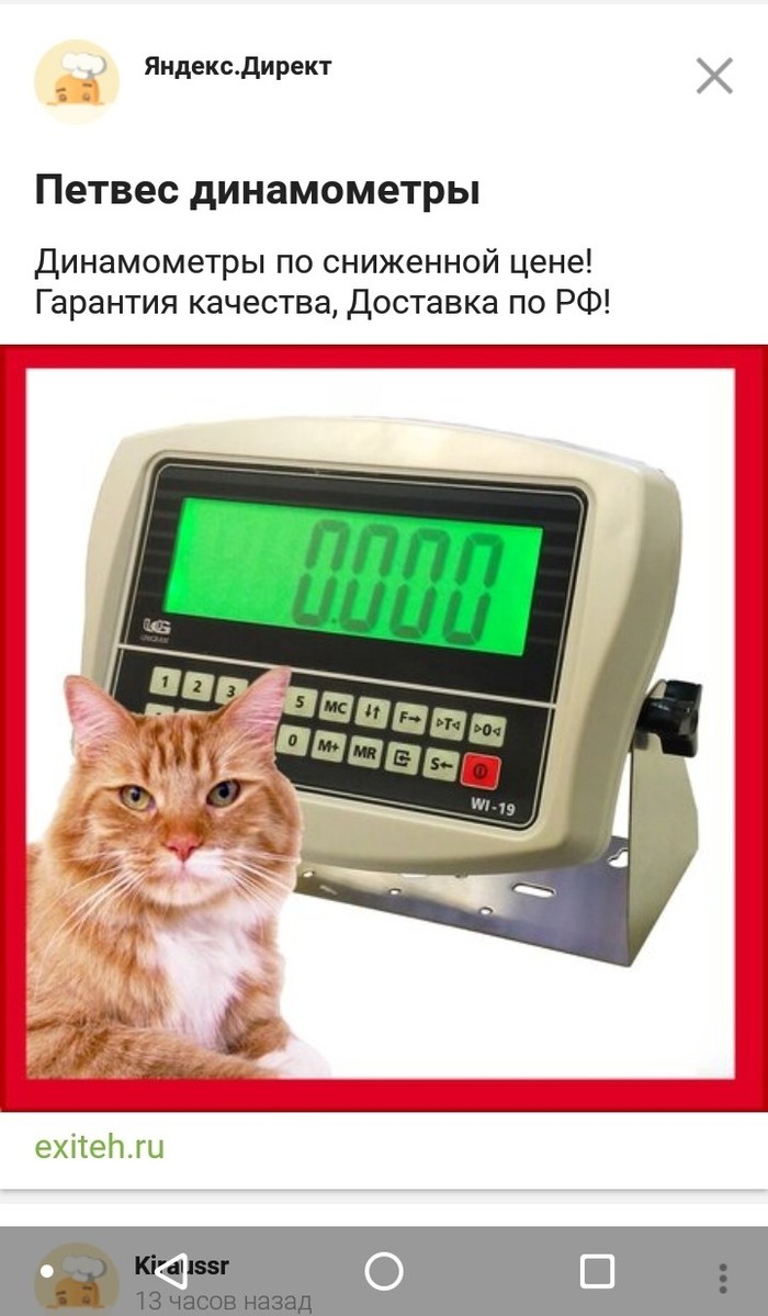 Cats to attract attention - cat, Advertising, Yandex Direct, My