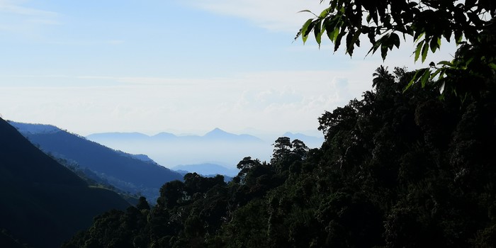 Немного Шри-Ланки вам в ленту Пейзаж, Фотография, Природа, Море, Пляж, Горы, Туризм, Длиннопост