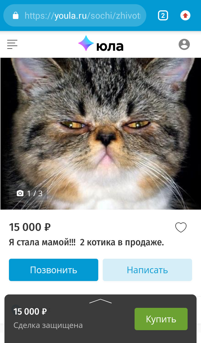 ������ ���� � ���� ������