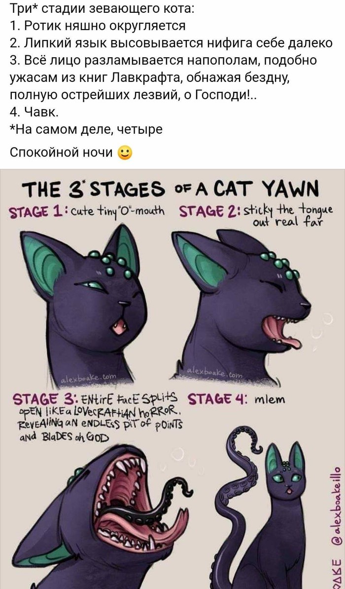 Три стадии зевания кота