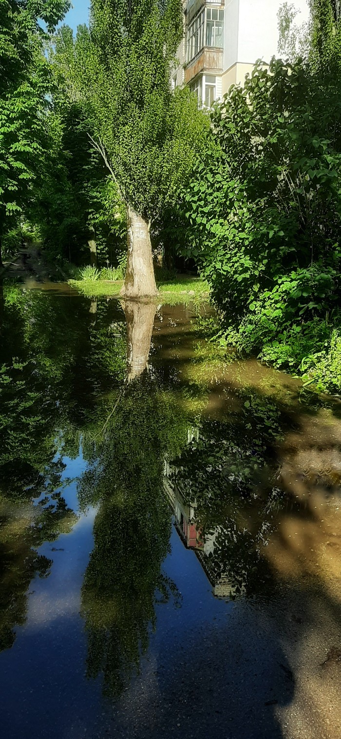 After the rain - My, The photo, Puddle, Reflection, Longpost