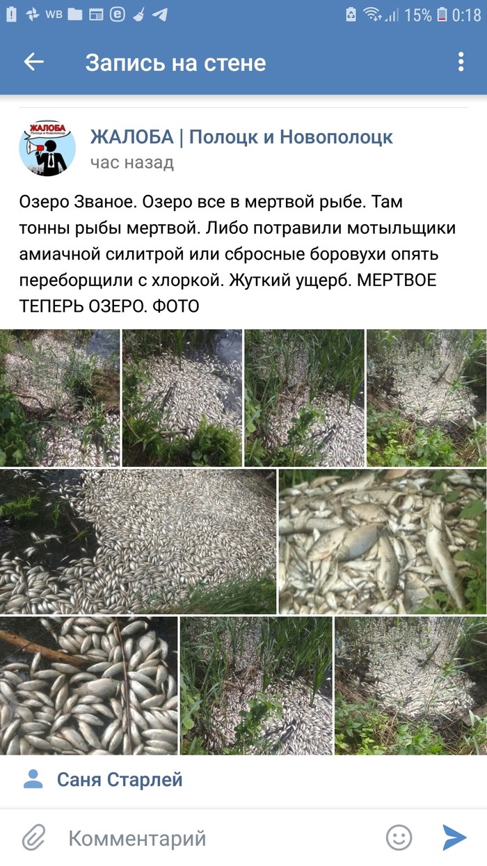 We care about nature (?) - Animals, In contact with, Novopolotsk, Nature, Longpost, Negative, Ecology, Ecological catastrophy