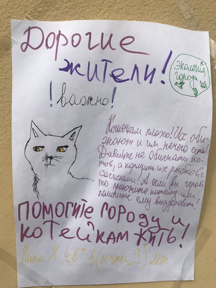 Important about cats - Children's drawings, Children, Drawing, Announcement, cat, Saint Petersburg