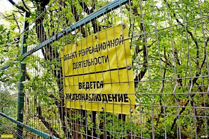 How a metal fence around forest land near Krinitsa officially became a hedge - My, Краснодарский Край, Gelendzhik, Krinitsa, Capturing the Forest, Corruption, , Longpost