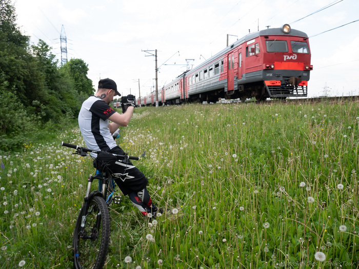 On the border of two roads and two regions. - My, Russian Railways, Train, Dandelion, Chertanovo, Biryulyovo, Bike ride, Longpost