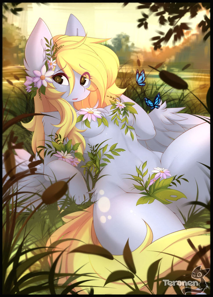 ����� �� �������