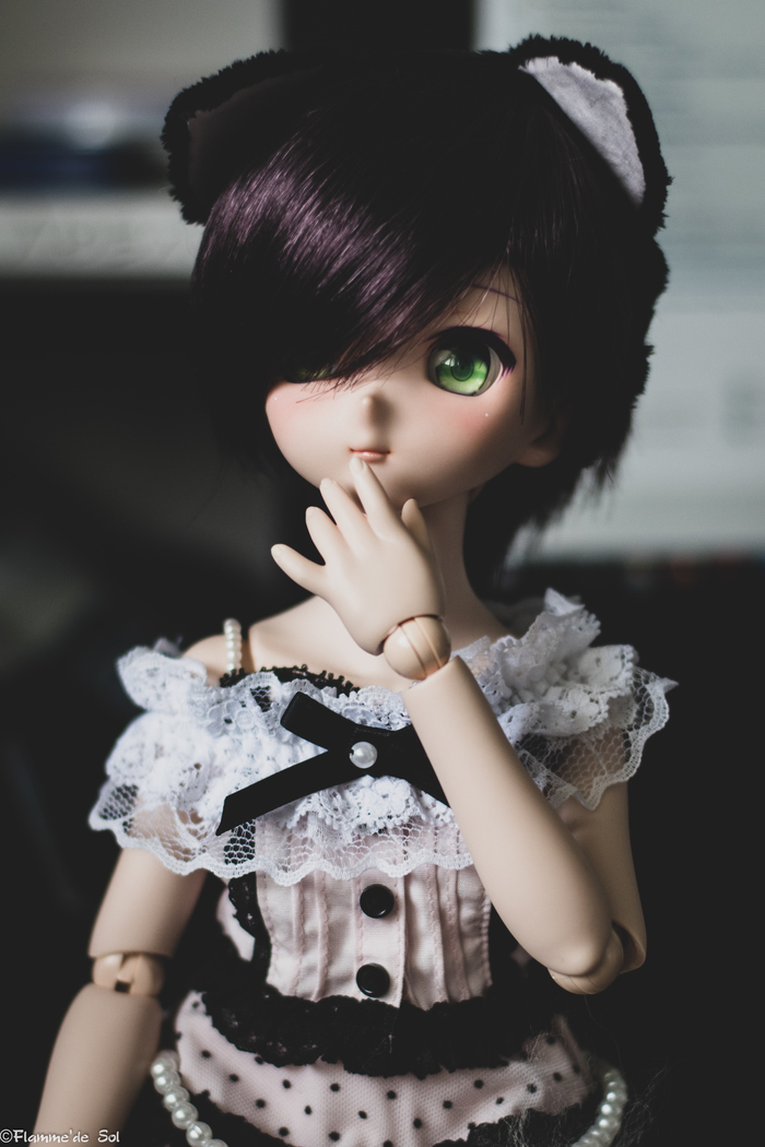 DollfieDream -   Dollfiedream,  , , , , 