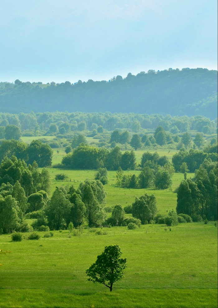 Landscape near Trubchevsk - My, Bryansk region, Trubchevsk, The photo, Beginning photographer, Landscape