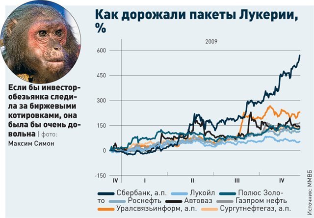 Как дорожал портфель инвестора-обезьянки Инвестиции, Обезьяна, Эксперимент, Финансы