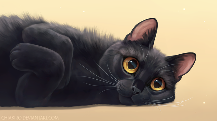 Рисунок милого котика