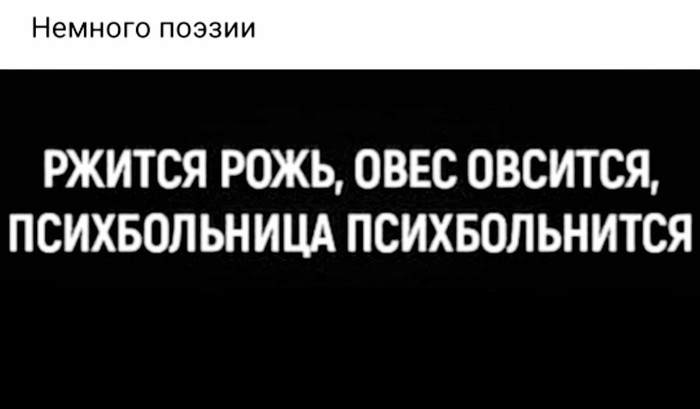 Когда смотришь на свое первое стихотворение - Стихи, ВКонтакте