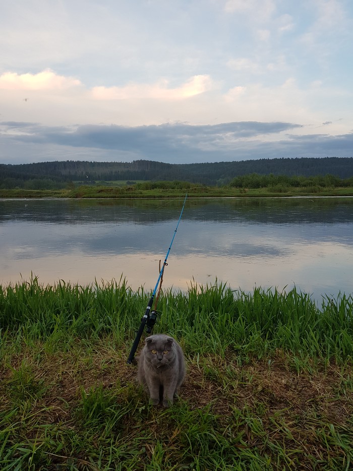 ������ �����...