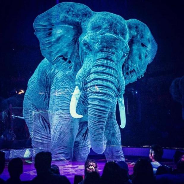 In Germany, animals in the circus are replaced with holographic copies - Circus, Animals, Germany, Longpost