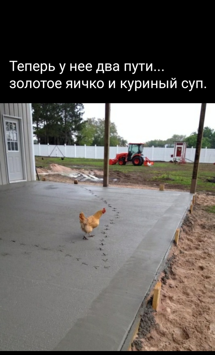 Perhaps, from concrete, everyone has only two ways. - My, Picture with text, Hen, Concrete, Soup