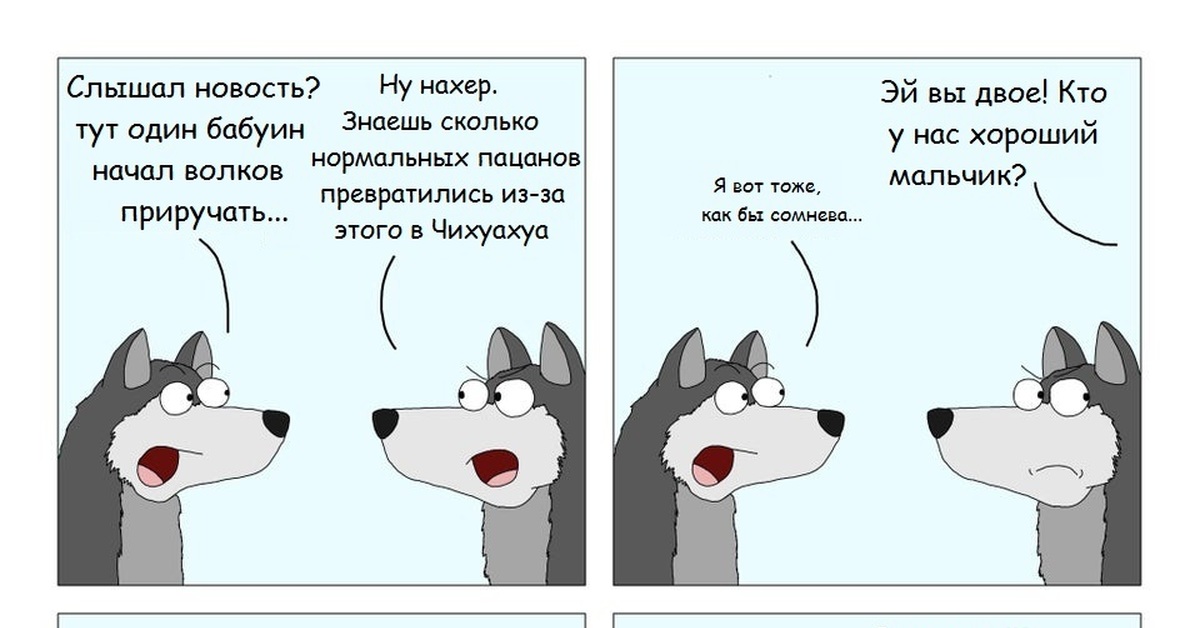 Пошлость пример. Комиксы про собак. Смешные комиксы про собак. Комиксы про собак на русском. Комикс для детей собака.