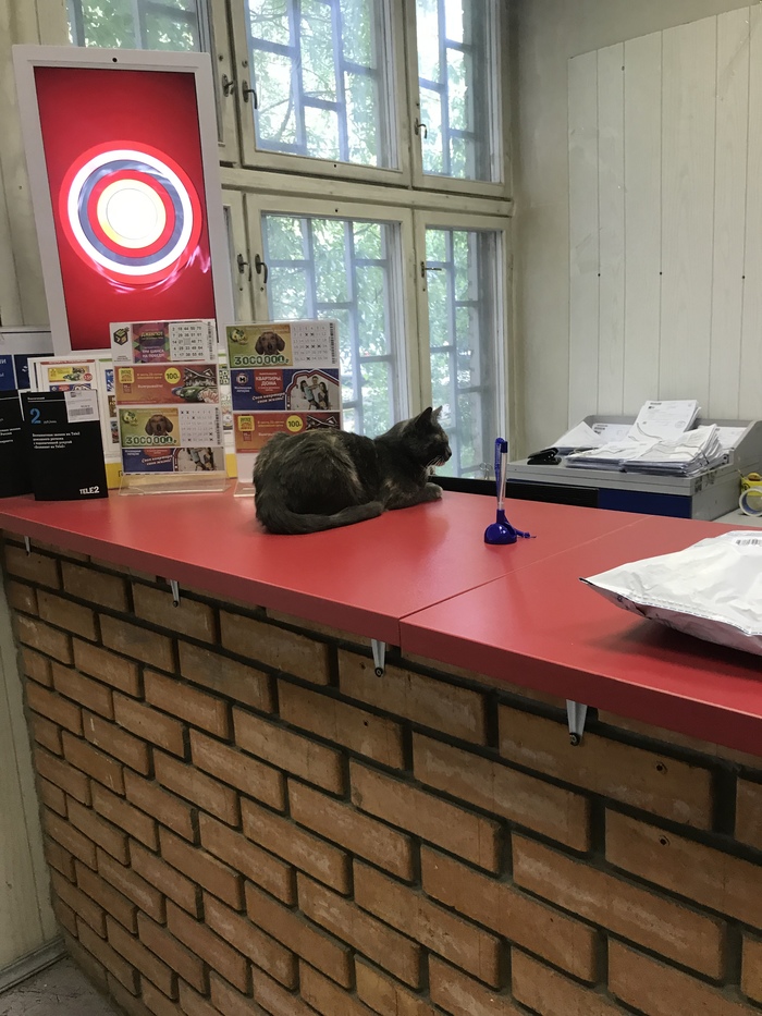 Cat from the Russian Post - My, , Post office, cat