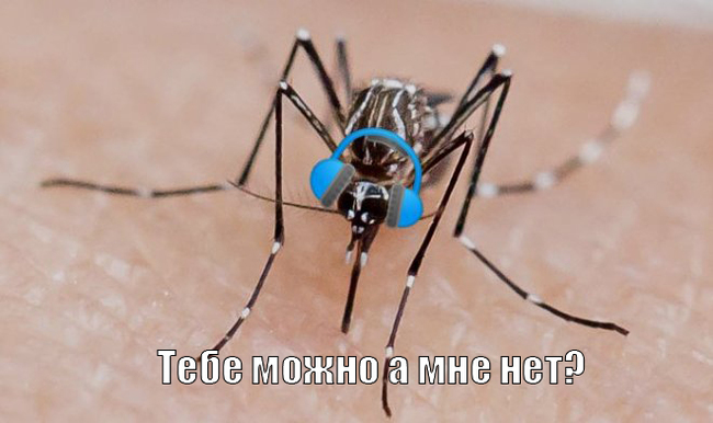 Komaryo or don't poke your nose at the pikabushnik, drinking blood from him on the block. - My, Mosquitoes, Mosquito repellent, Longpost