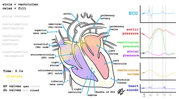 Доктор, что со мной? Becbt, Doctorvaluiskiy, Гифка, Длиннопост