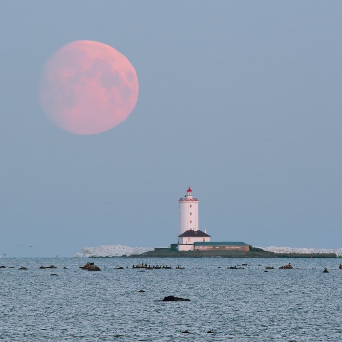 Tolbukhin lighthouse. - Tolbukhin, Lighthouse, Kronstadt, The photo