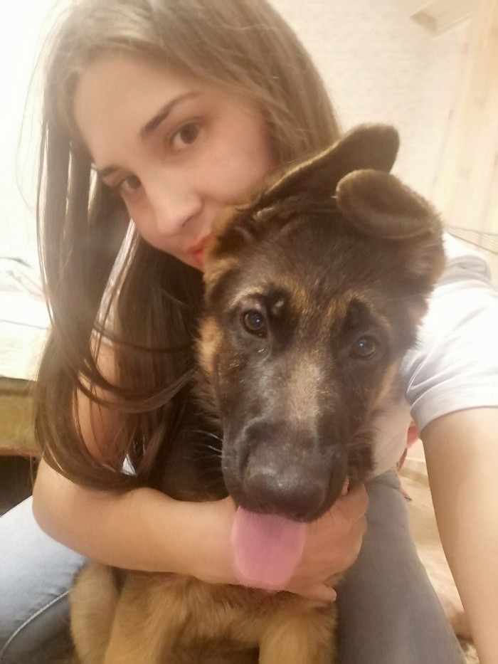 Our first day together***Barney Bear - My, Dog, German Shepherd