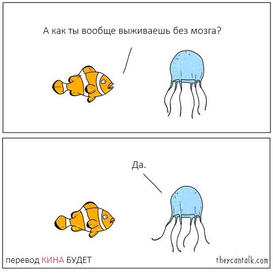 About survival - A fish, Jellyfish, Brain, Survival, Comics, Theycantalk