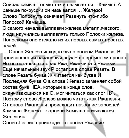 Железобетонное упорство дилетанта - Моё, Лингвофрики, Лингвистика, Русский язык, Ипря, Длиннопост