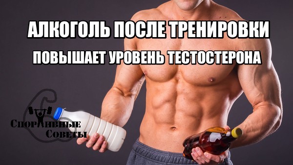 Post-workout alcohol increases testosterone levels - My, Sport, Тренер, Sports Tips, Alcohol, Research, Healthy lifestyle, Workout, Longpost
