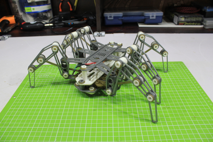 Walker Spider Rover - My, 3D печать, , Akw, Video, Longpost, Fur