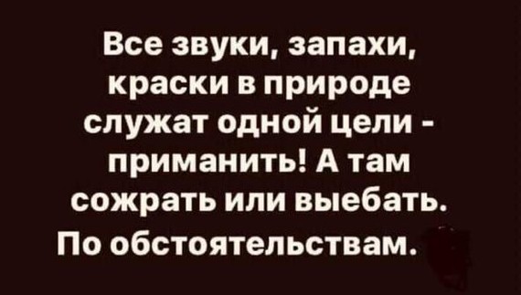https://cs7.pikabu.ru/post_img/2019/06/12/12/1560370480193683031.jpg