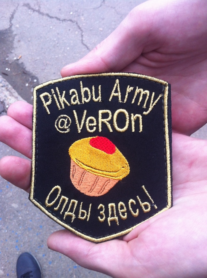 Pikabu Army - My, Army, DPR, Humor, Chevron, Oldfags, Donetsk