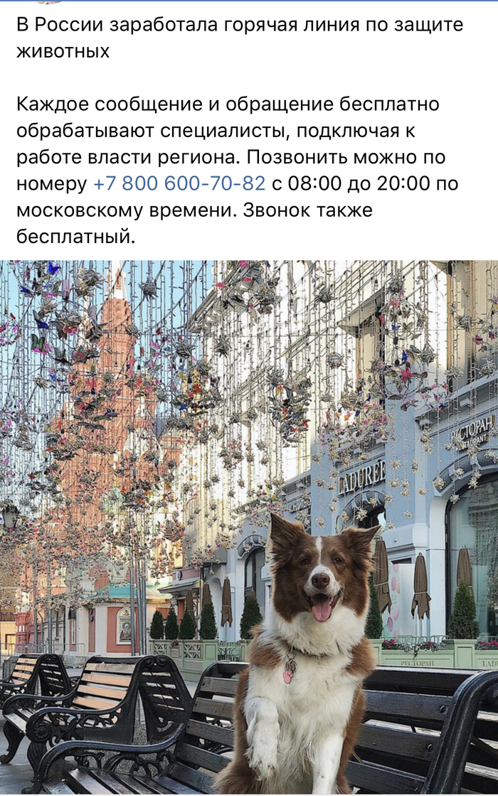 � ��� ����� ��������? ��� ��� ��� �������������?