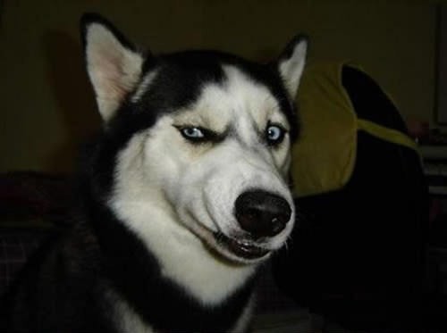 Анти-фэйк Казахстан. Часть 2