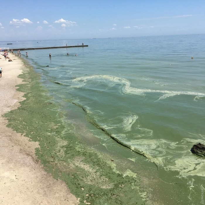 Green sea in Odessa - Sea, Odessa, Dirt, Longpost