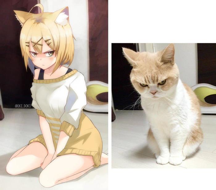 Catgirls by Ekidoki - Anime, Anime art, , , , Neko, Longpost, Humanization, Animal ears
