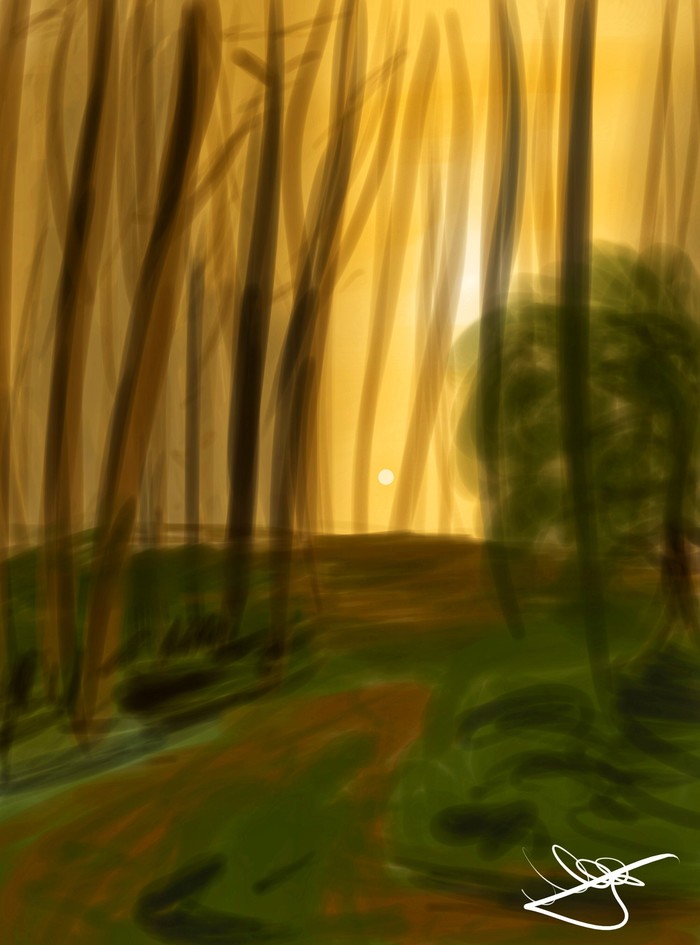 Dawn in the woods - My, Digital drawing, Art, Forest, dawn