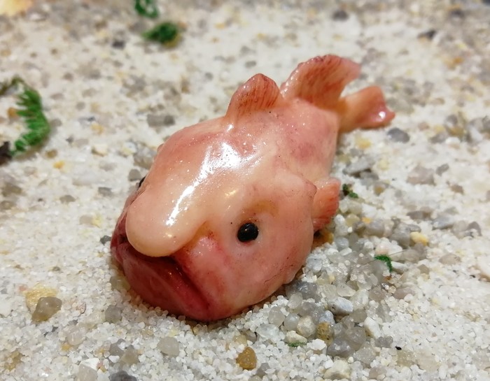 рыбы в австралии и их названия и фото. Смотреть фото рыбы в австралии и их названия и фото. Смотреть картинку рыбы в австралии и их названия и фото. Картинка про рыбы в австралии и их названия и фото. Фото рыбы в австралии и их названия и фото рыбы в австралии и их названия и фото. Смотреть фото рыбы в австралии и их названия и фото. Смотреть картинку рыбы в австралии и их названия и фото. Картинка про рыбы в австралии и их названия и фото. Фото рыбы в австралии и их названия и фото