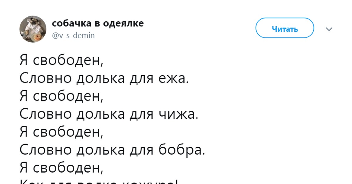 Я свободен песня текст