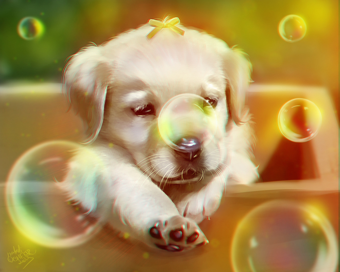 Summer, oh summer! - My, Animals, Treatment, Puppies, Photoshop, Retouch