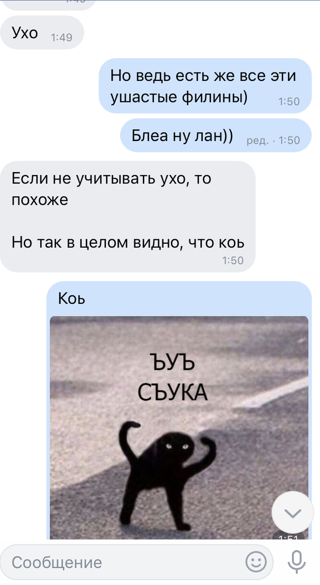 Koi - My, cat, Catomafia, Humor, Typo, T9, Longpost