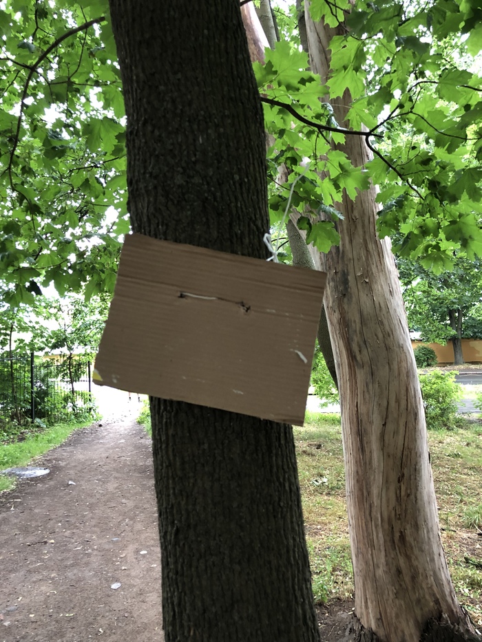 ��� �������??