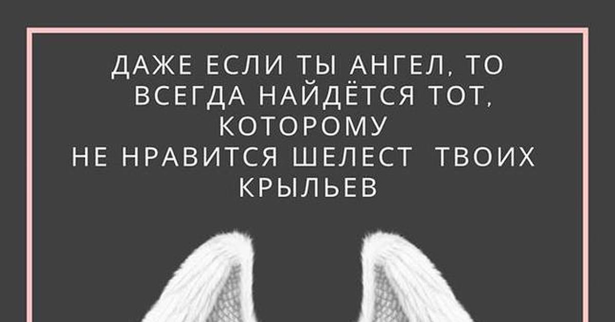 Некоторые ангелы выбирают шерсть вместо крыльев картинка