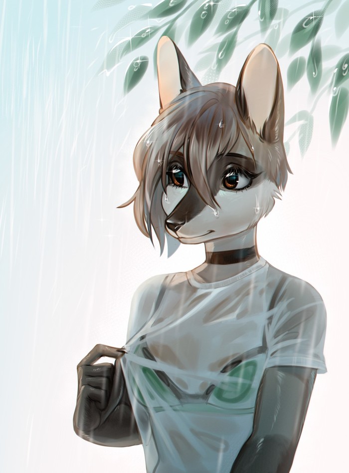 Rain - Furry, Furry art, Furry raccoon, Furry edge, Wet T-shirt, Rain, Apchuyuji