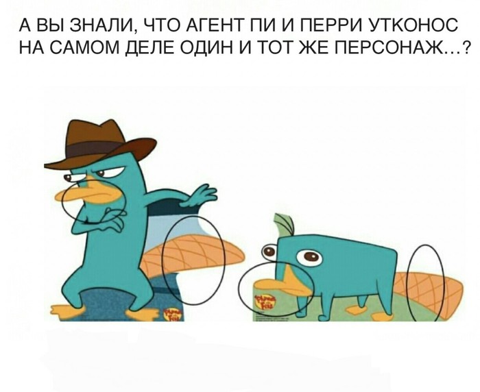 I'm shocked - Memes, Animated series, Phineas and Ferb, Perry platypus