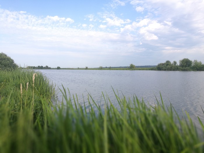 Lake Long Serpukhov - My, Lake, The photo, Landscape, Serpukhov