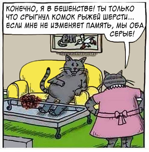 Семейные разборки - Кот, Муж, Жена, Измена, Шерсть, Карикатура